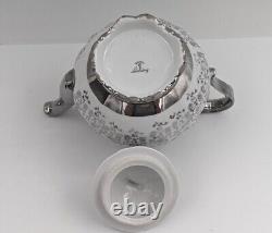 Bavaria Schirnding White Silver Floral tea set Pot Creamer Sugar Cups Saucers