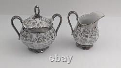 Bavaria Schirnding White Silver Floral tea set Pot Creamer Sugar Cups Saucers