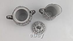 Bavaria Schirnding White Silver Floral tea set Pot Creamer Sugar Cups Saucers