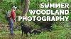 Photographing Woodland In Summer Advice And Inspiration