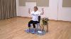 Silver Sunday Exercise Video Chair Based