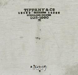 Ensemble De Thé Tiffany Sterling C1910 Hand Décorated